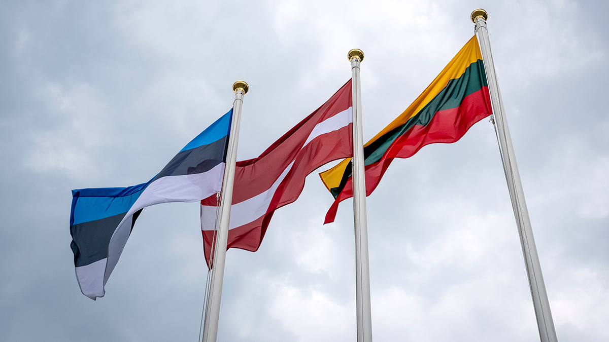 Eesti Läti Leedu lipp