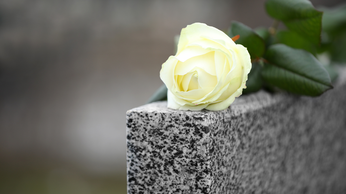valge roos matus surnuaed
